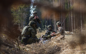 vlese_43.jpg